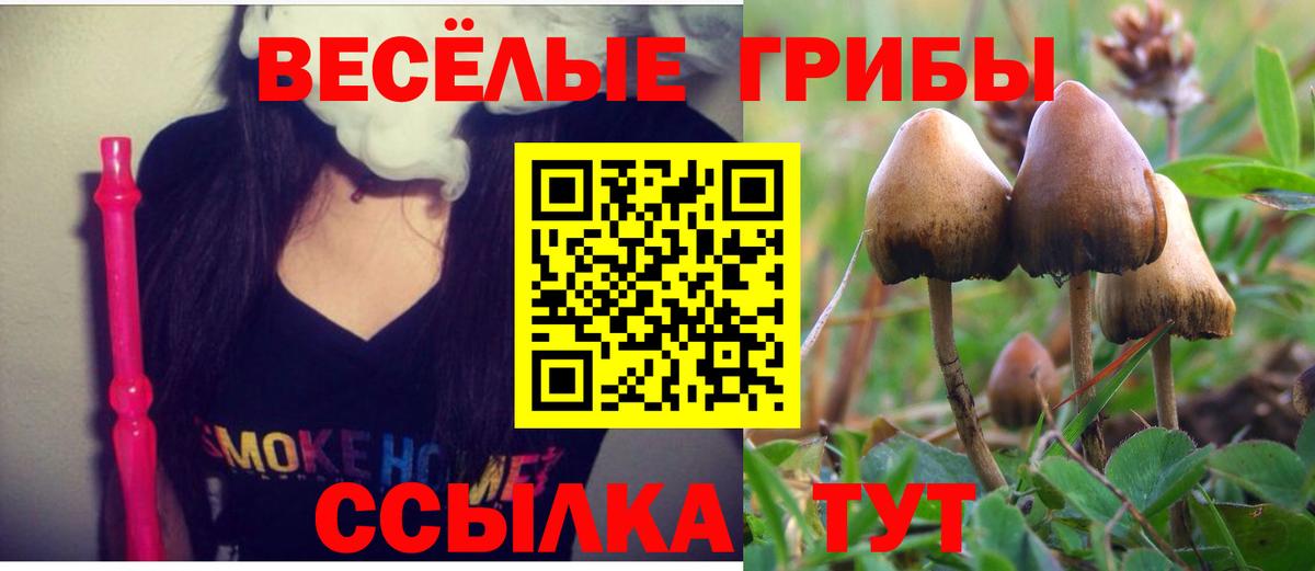 Псилоцибиновые грибы ЛСД  Вход с VPN  Удомля 